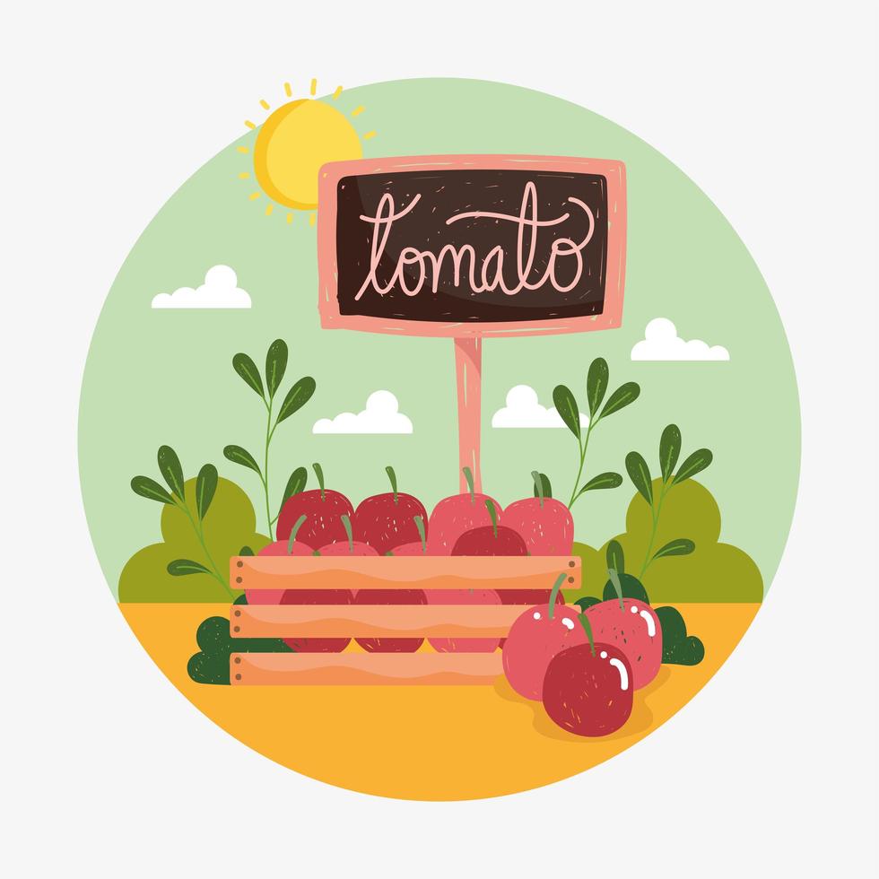 organic tomatoes in basket 3744904 Vector Art at Vecteezy