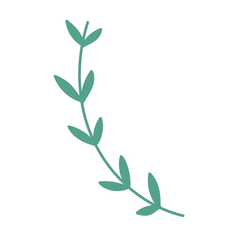 branch vegetation leaves foliage nature icon vector