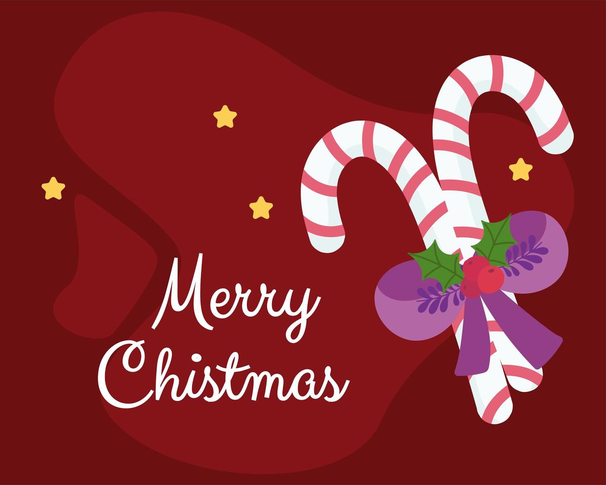 merry christmas candy canes with bow and holly berry card vector
