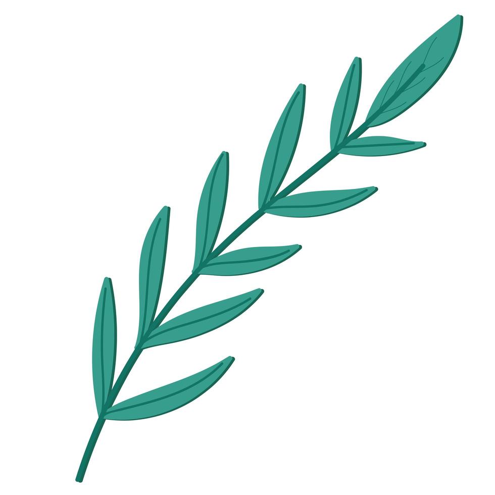 branch leaves foliage nature icon isolated vector
