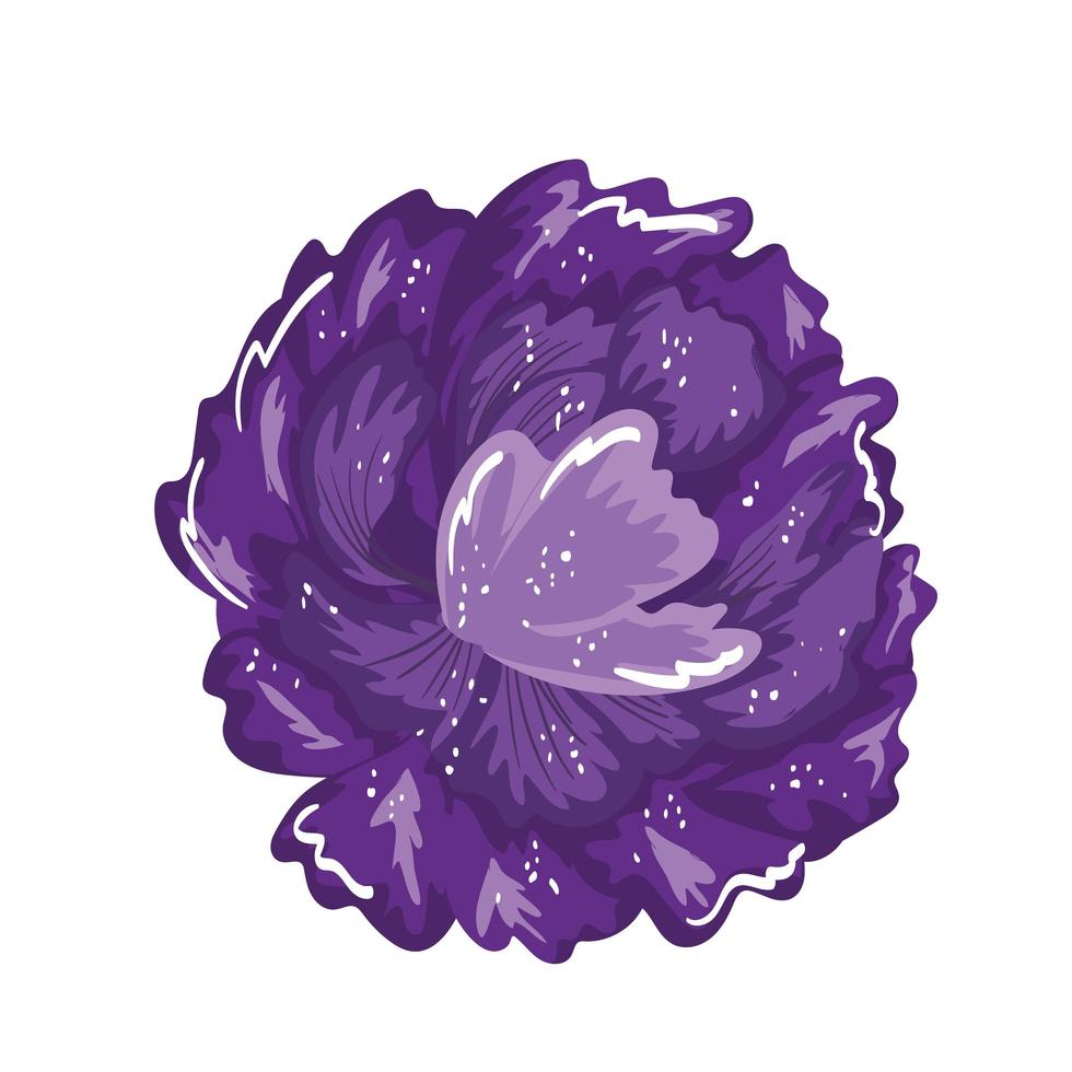 flor morada decoración floral pintura diseño aislado vector