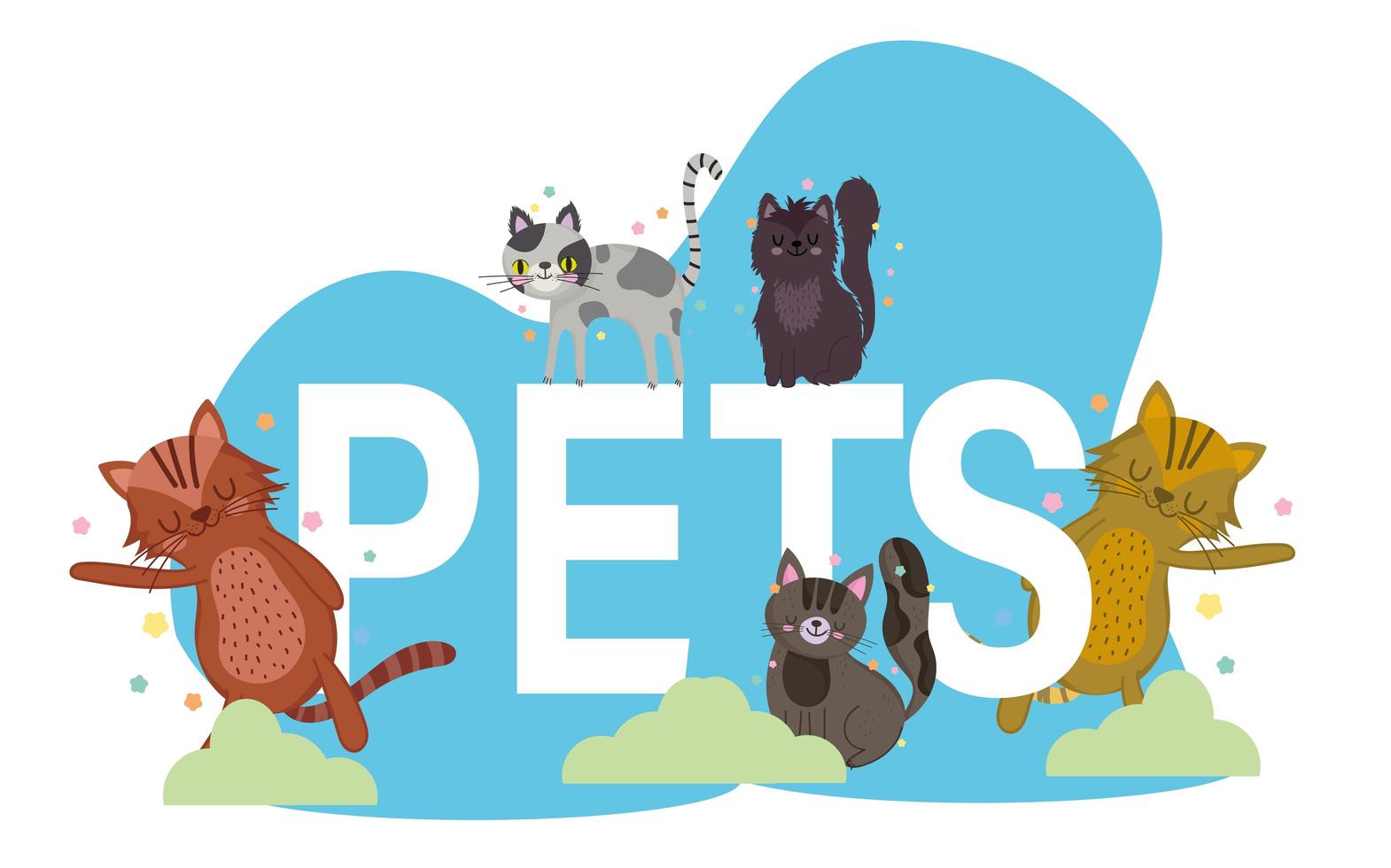 pets cats feline animals with text cartoon design vector