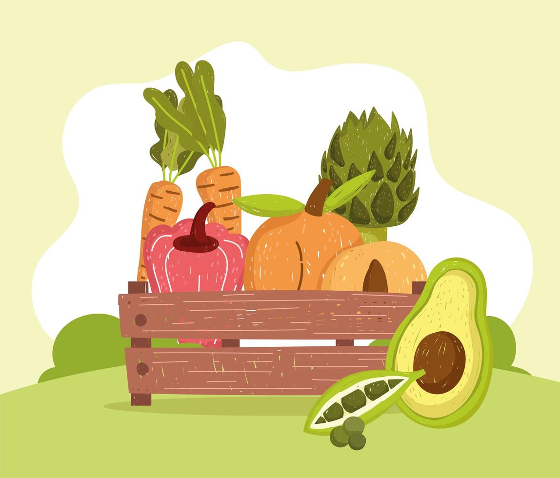 vegetables harvest in basket vector