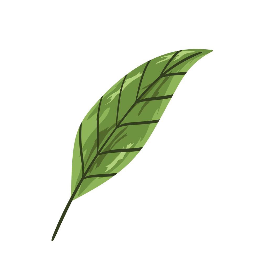 leaf foliage vegetation nature painting isolated icon vector