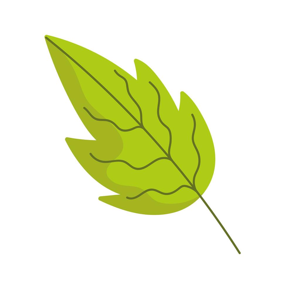 leaf ecology foliage cartoon icon isolated style vector