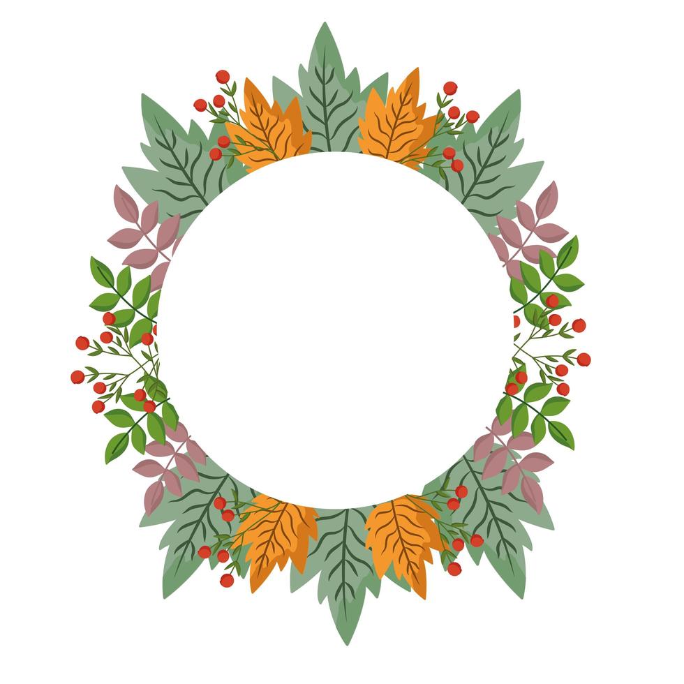 leaves branch berries foliage nature, circle frame vector