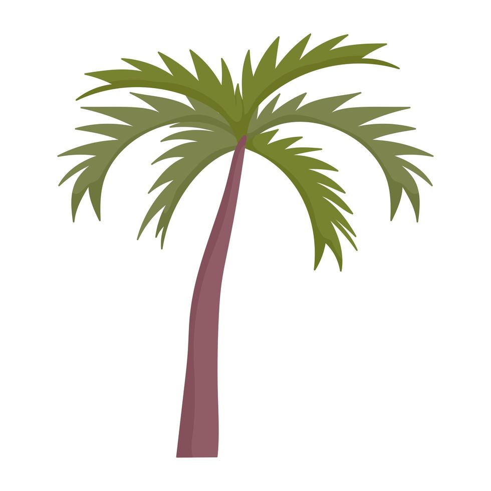 icono de planta tropical de follaje de palmera cartoon vector