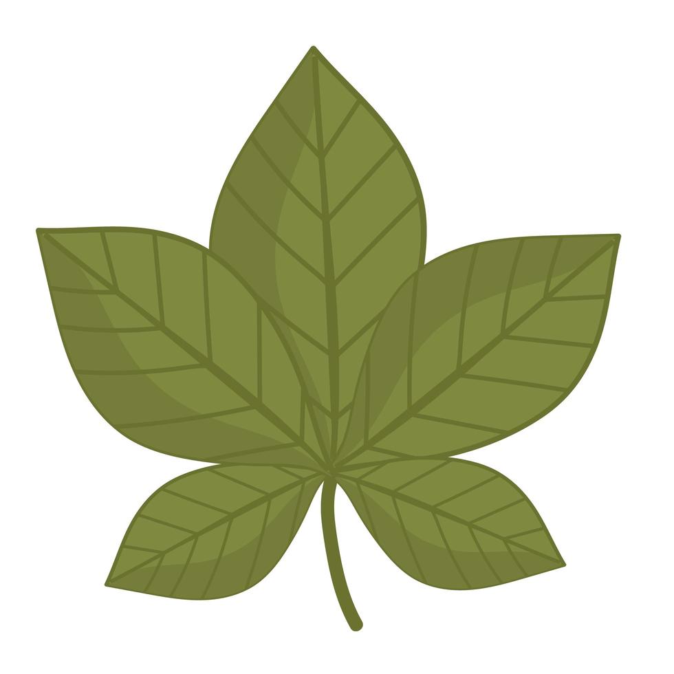 hoja ecología botancial icono de dibujos animados estilo aislado vector