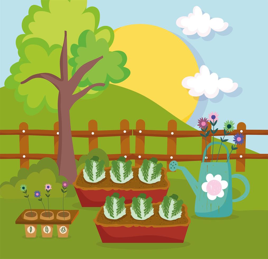 watering lettuces and plants vector