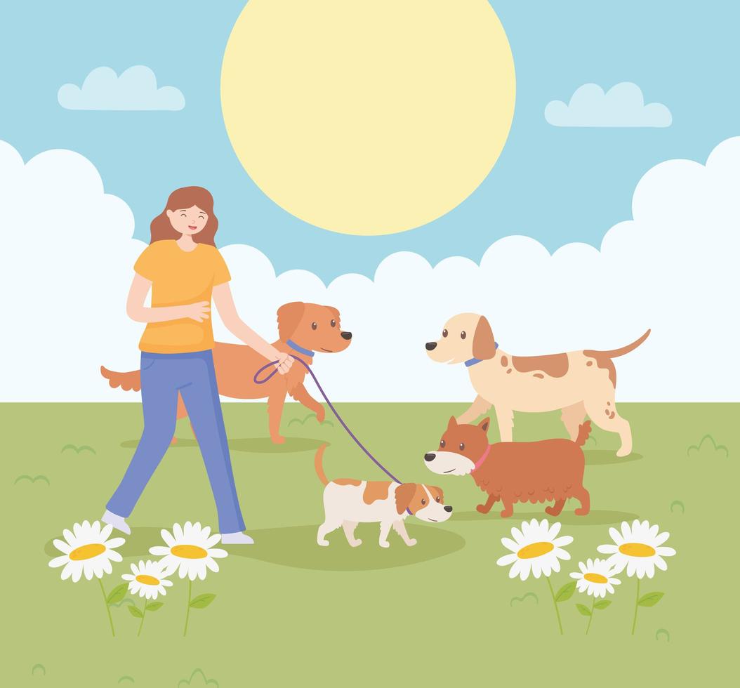 girl with dogs walking vector