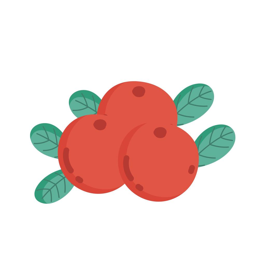 frutas cereza y hojas vector