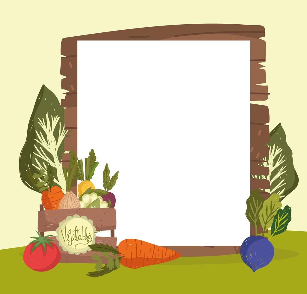 verduras y banner vacío. vector