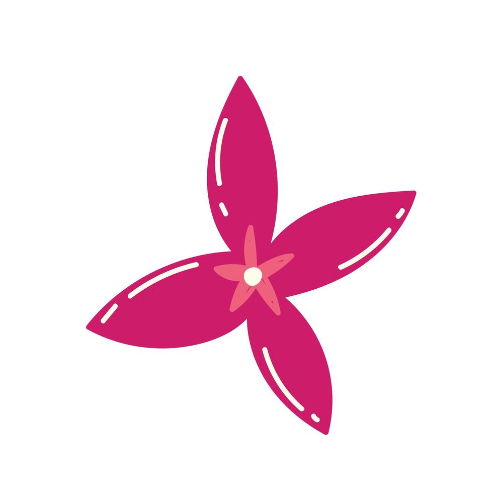 pink flower petals nature decoration icon design vector