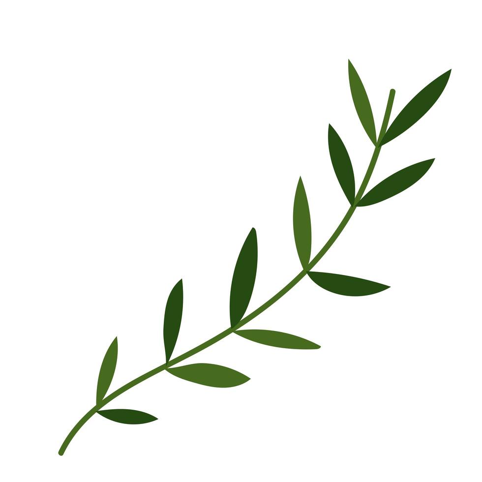 branch leaves foliage natural vegetation cartoon icon vector