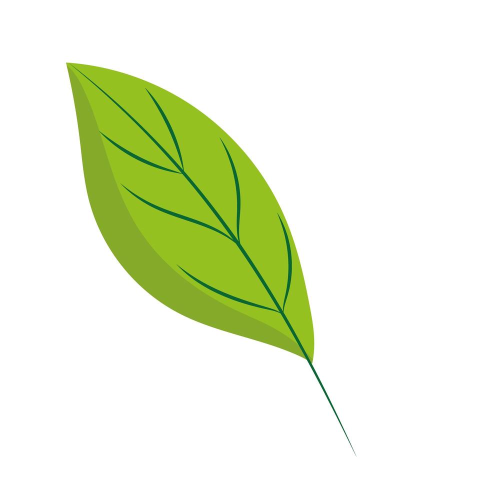 leaf foliage natural flora cartoon icon isolated style vector