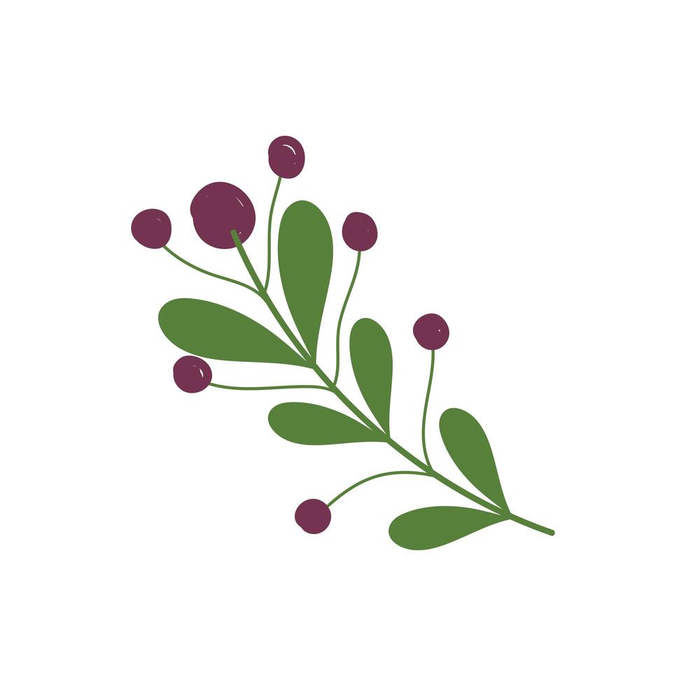 branch leaves berries nature cartoon icon in isolated style vector