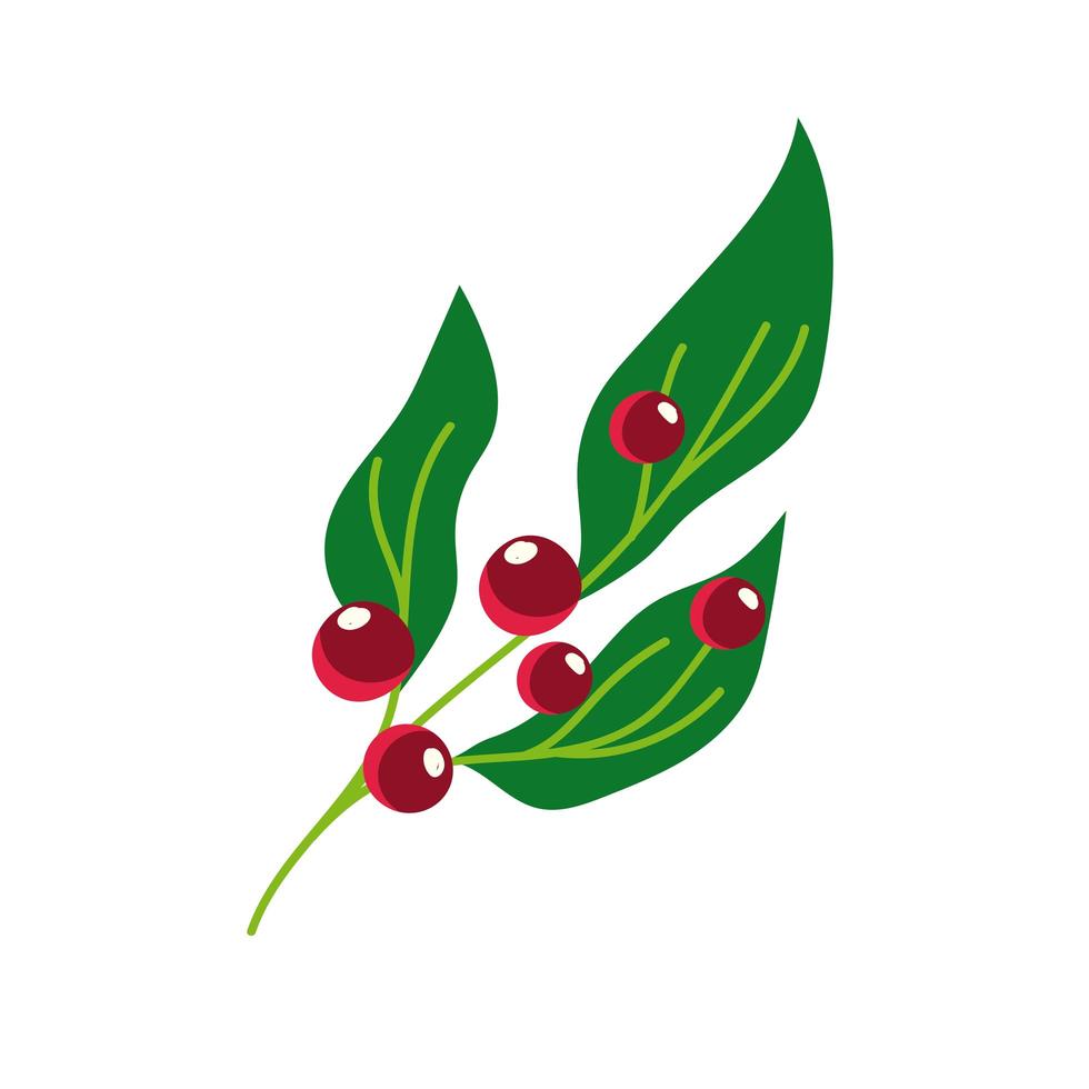 branch leaves berry nature vegetation cartoon icon vector