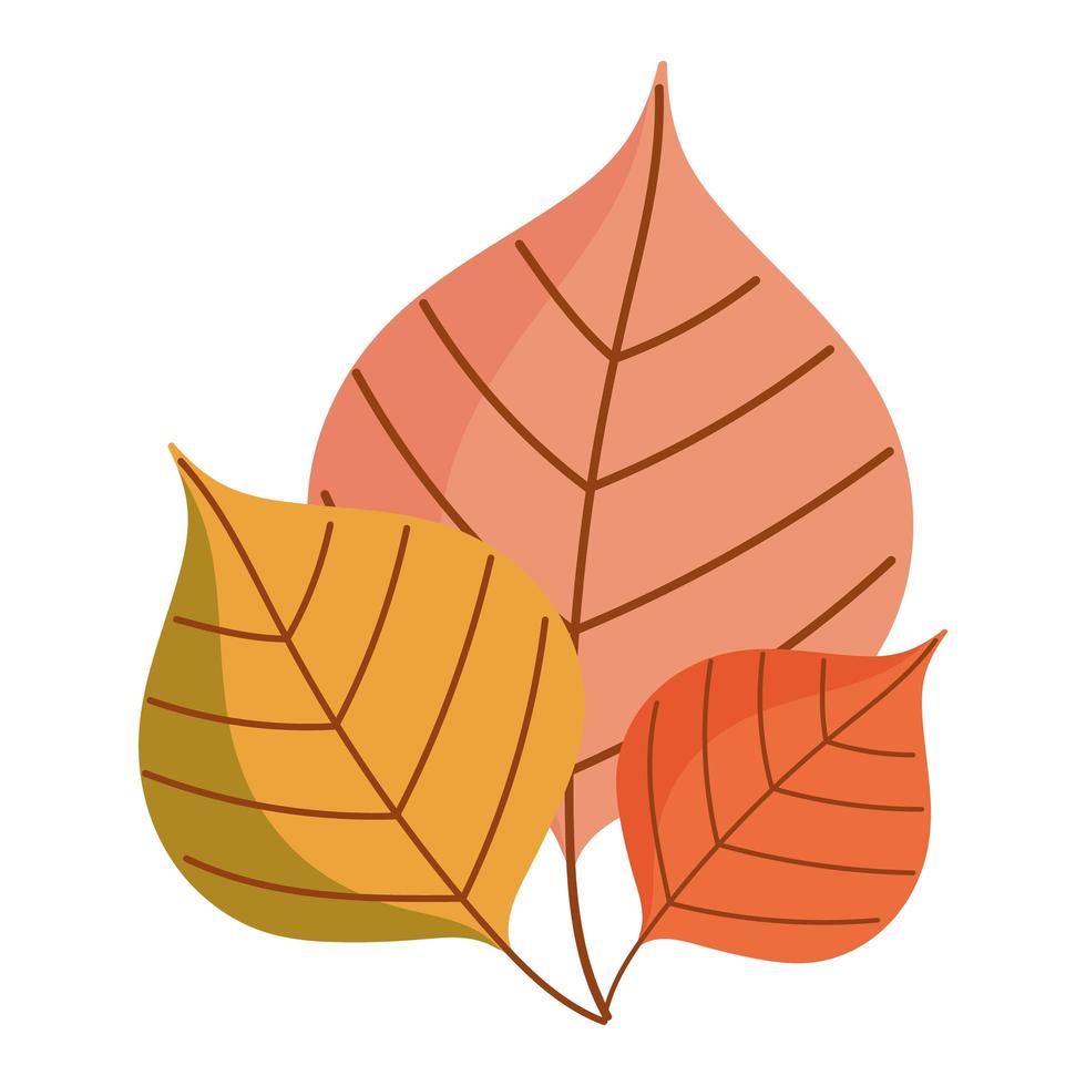 autumn foliage leaves vector