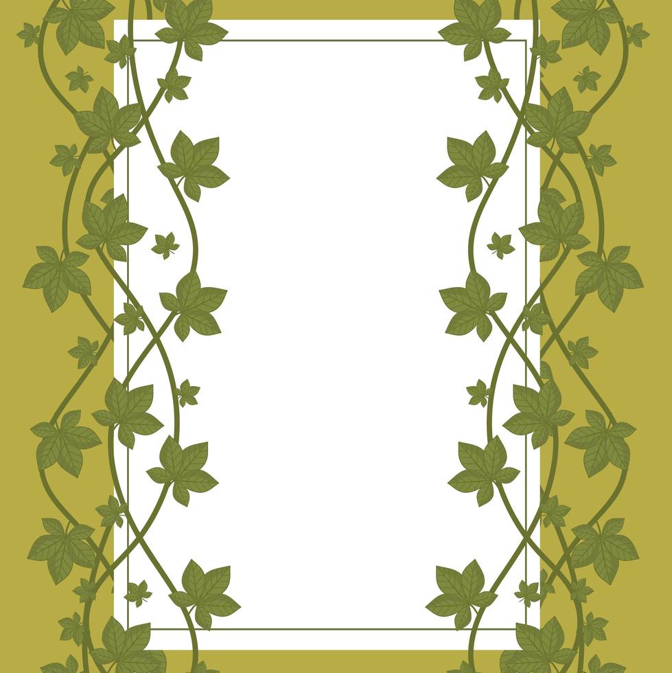 leaves foliage nature organic decoration label white background vector