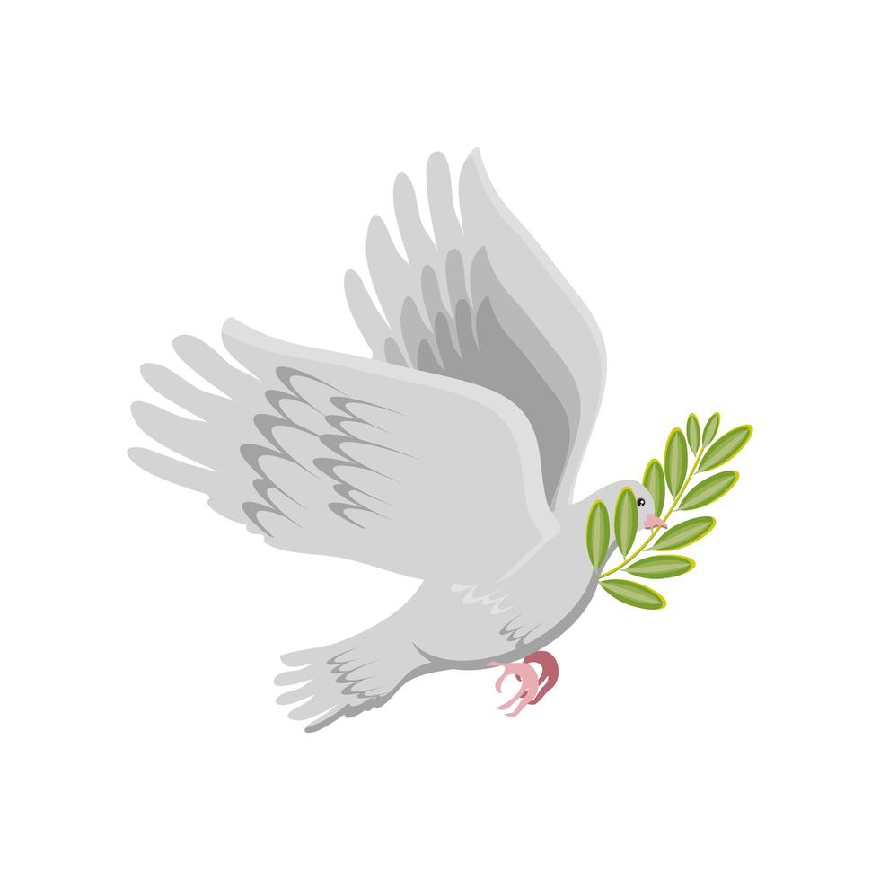 dove with olive branch vector