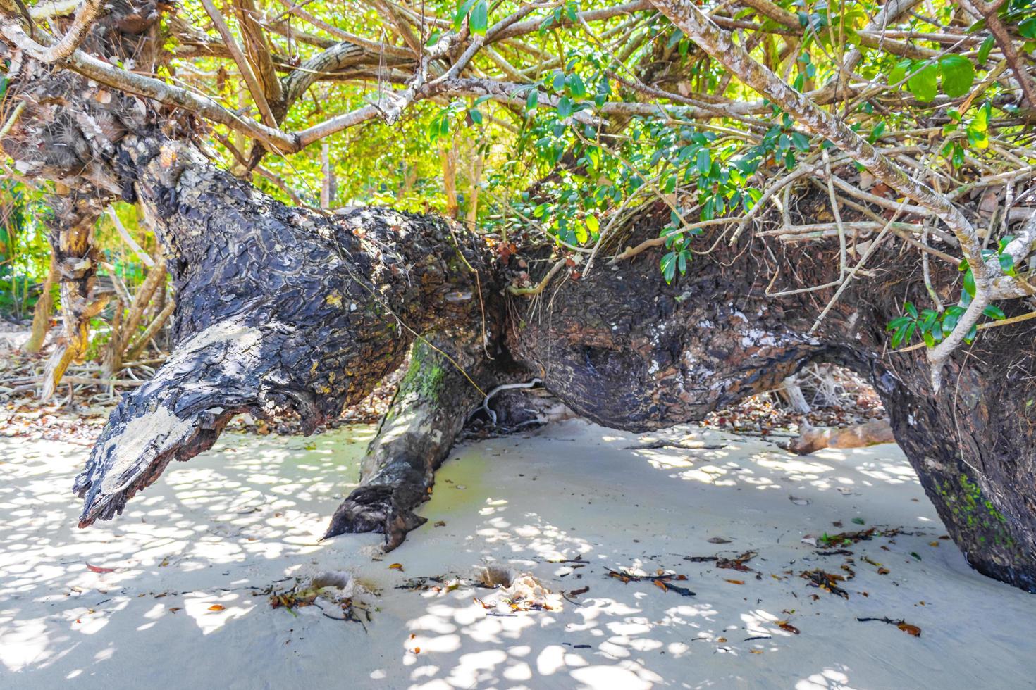 Tropical Paradise Aow Kwang Peeb Beach Koh Phayam island Thailand. photo