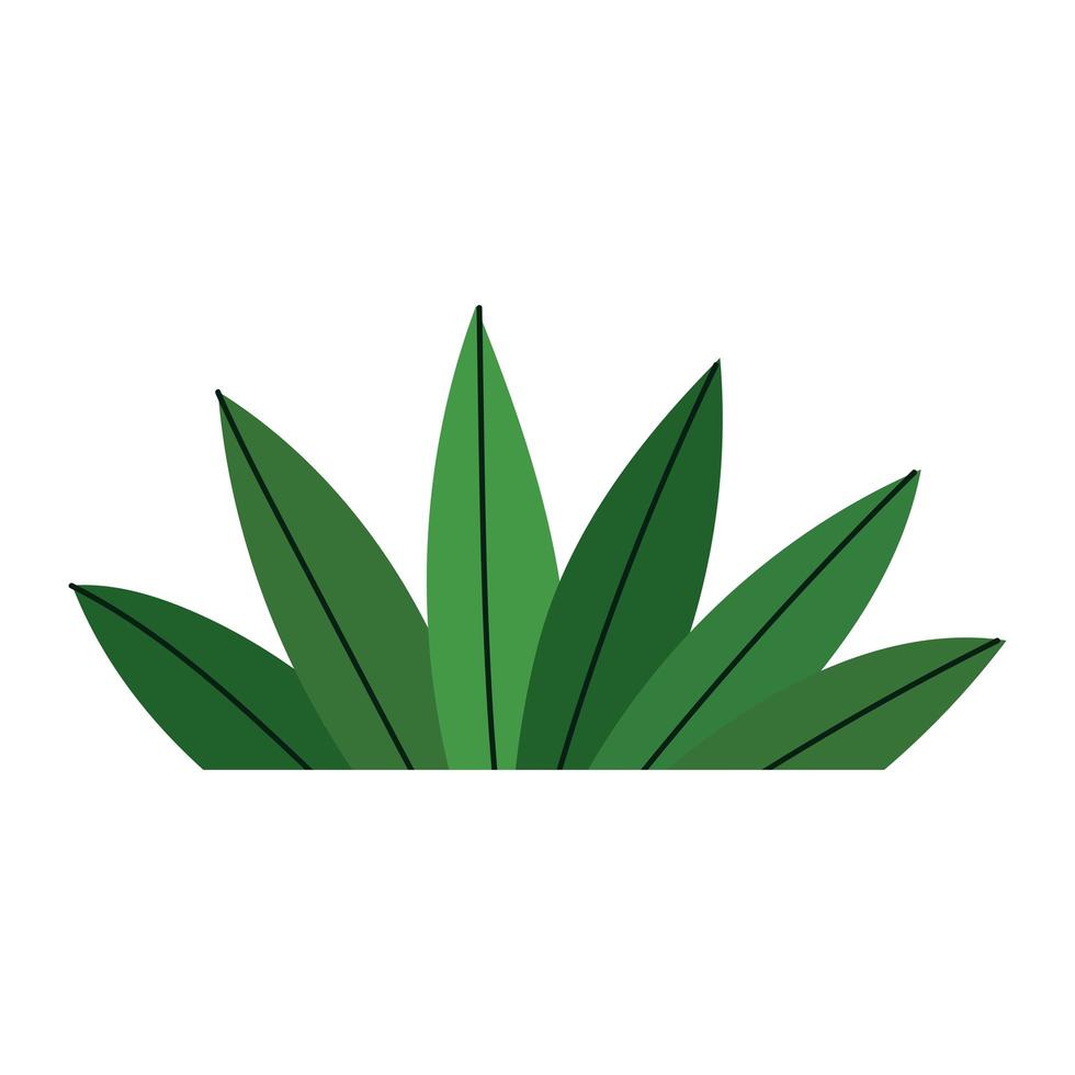 icono de dibujos animados de follaje de hojas de planta en estilo aislado vector