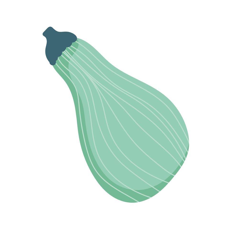 Calabacín icono de comida vegetal diseño aislado vector