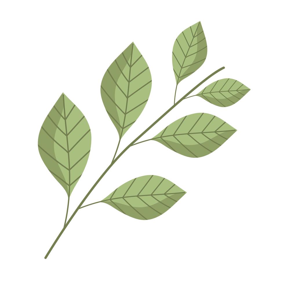 rama follaje planta naturaleza decoración dibujos animados icono estilo aislado vector