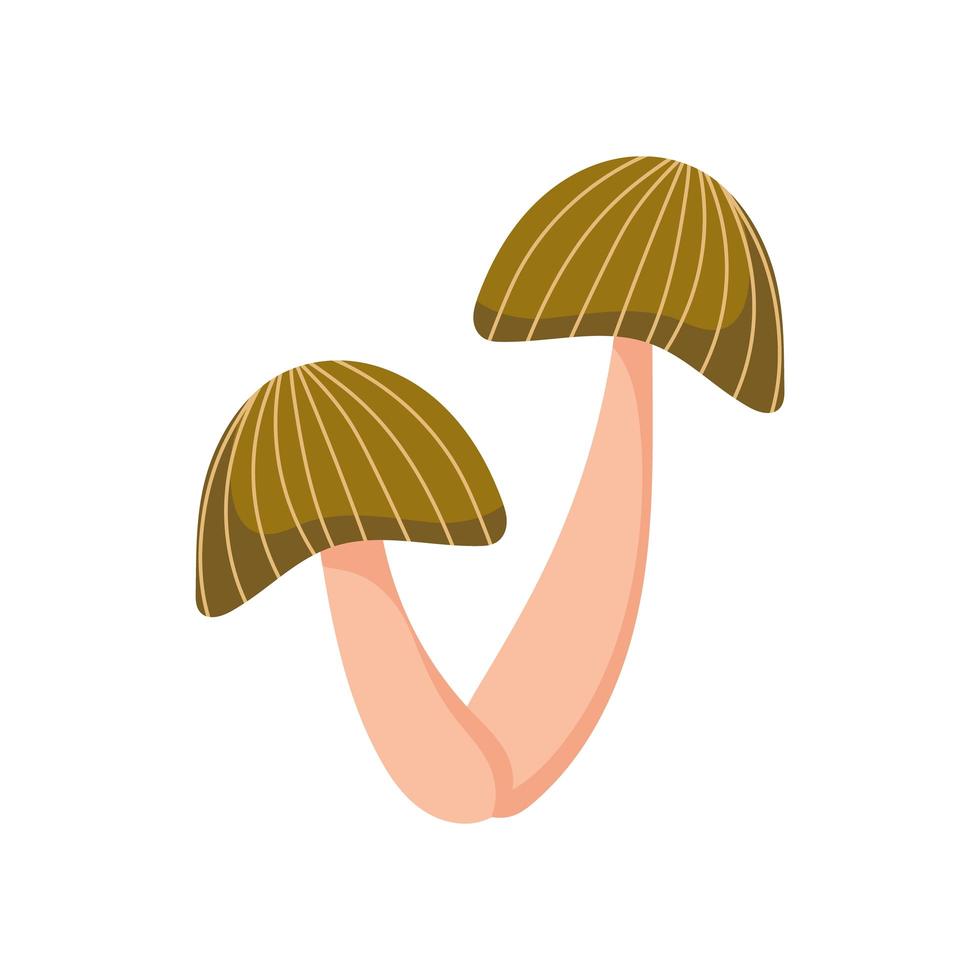 mushrooms nature autumnal vector