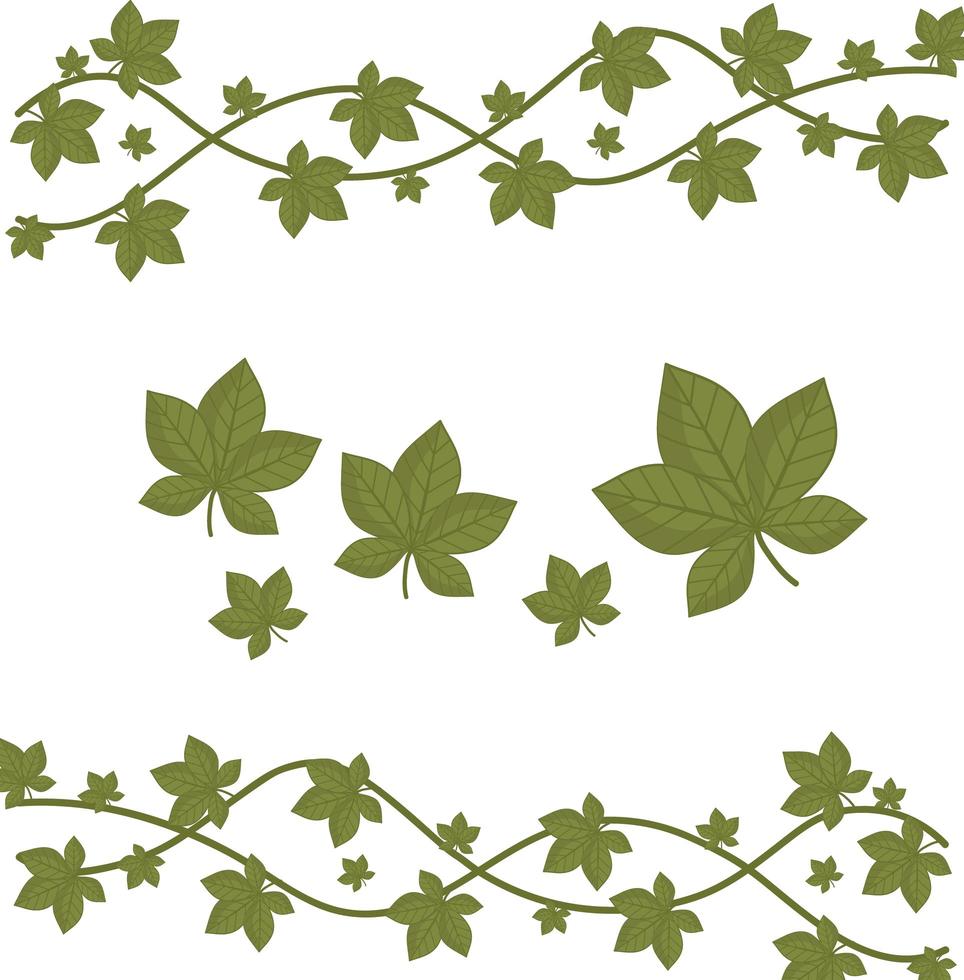 leaves foliage nature organic decoration border white background vector