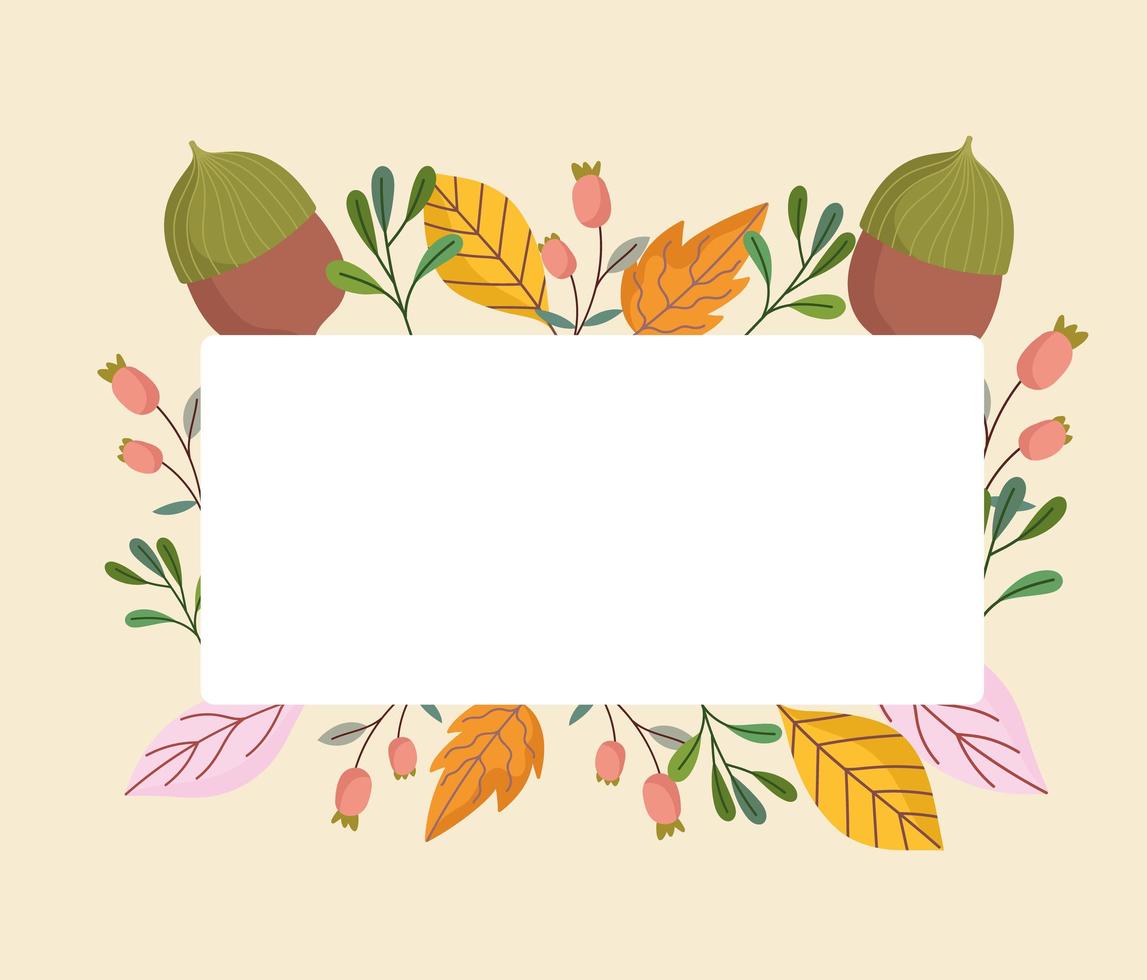 leaves acorn foliage sprout nature decoration vector