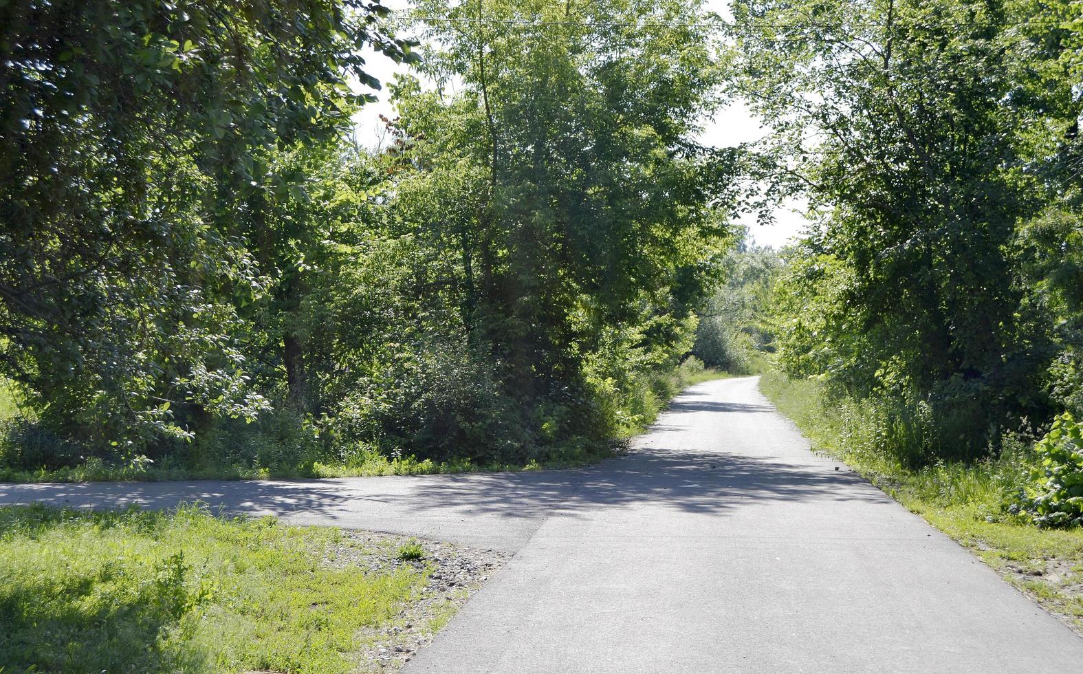 Beautiful empty asphalt road in countryside on colored background photo