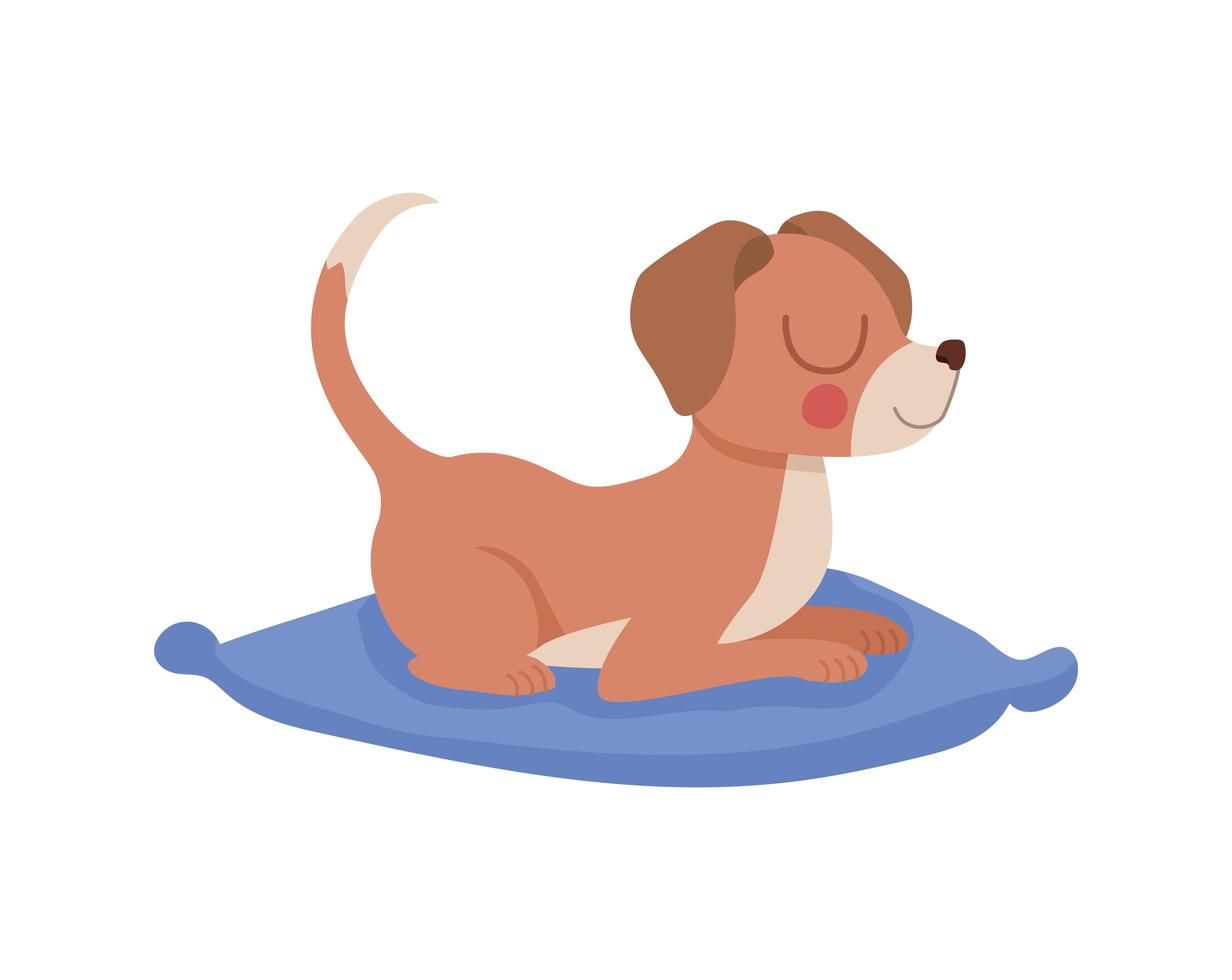 pretty dog resting vector