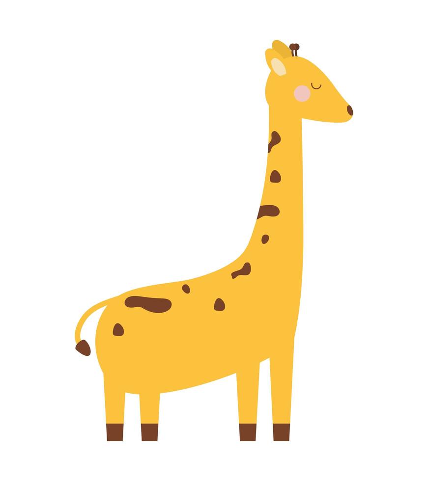 pretty giraffe icon vector