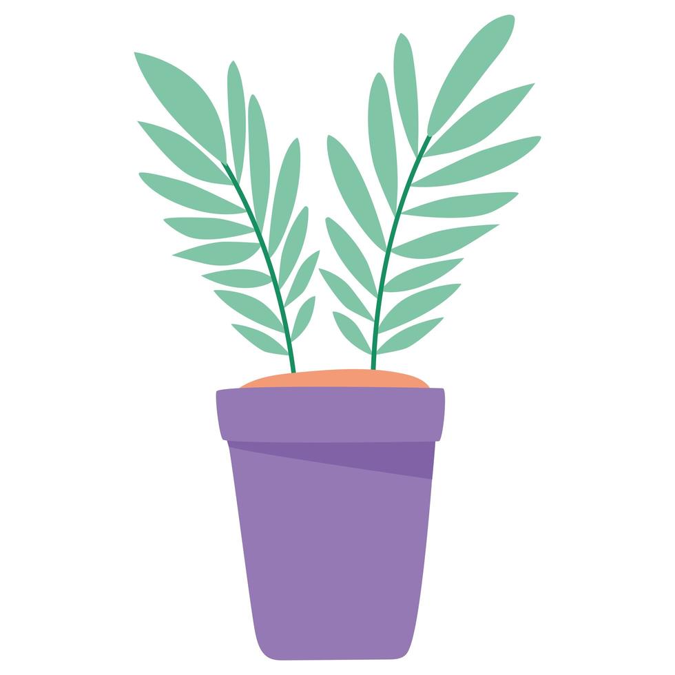 plant in purple pot vector
