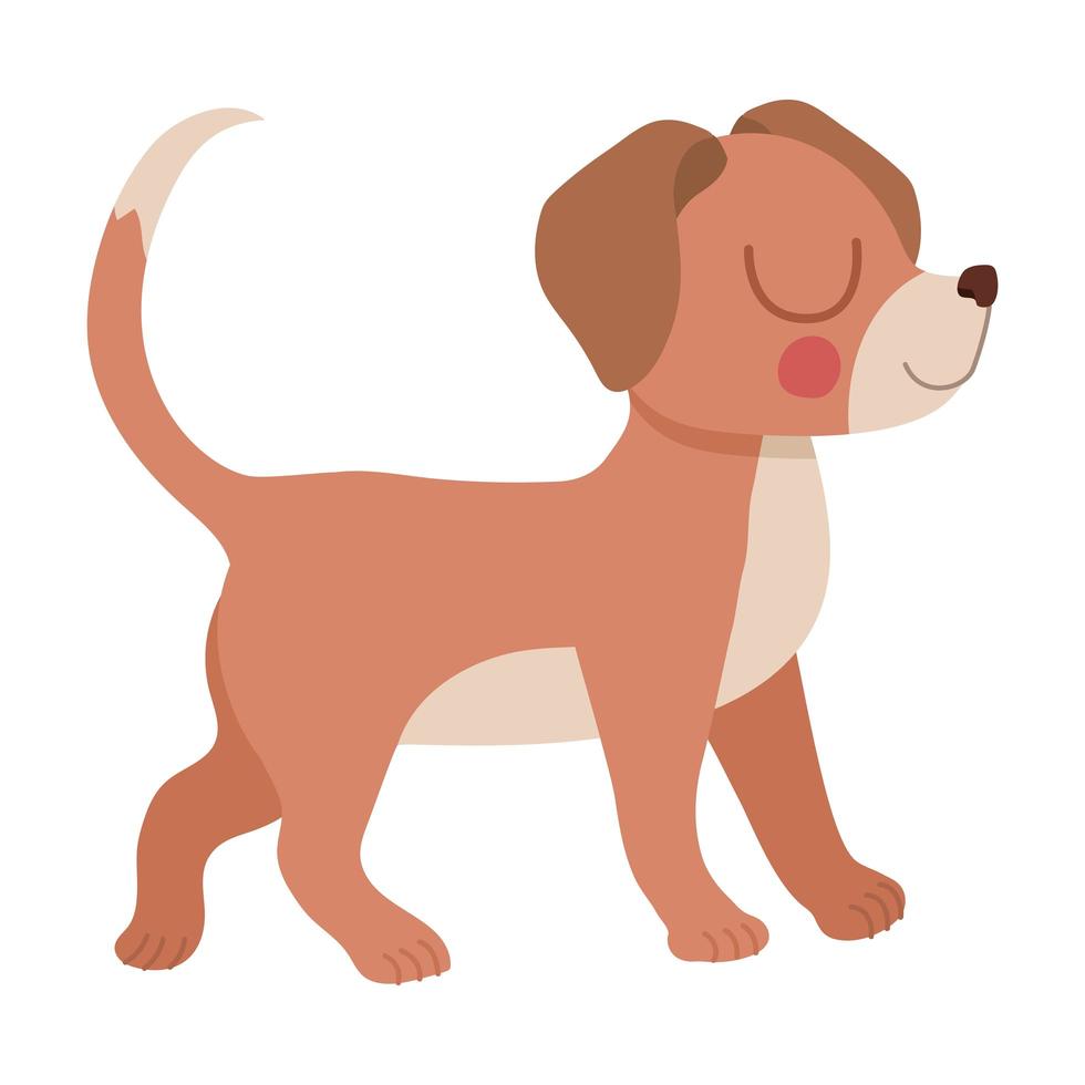 pretty puppy design vector