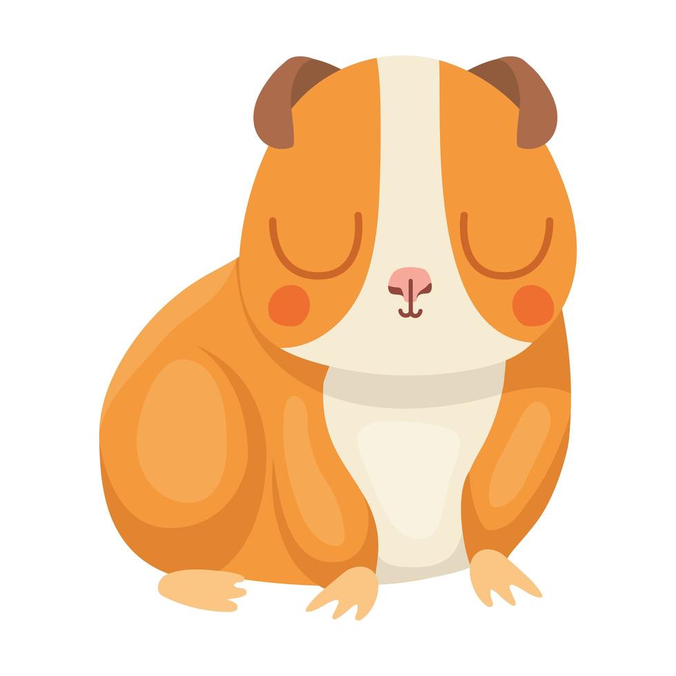 pretty hamster design vector
