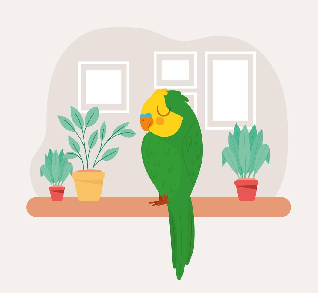 pretty parrot representation vector