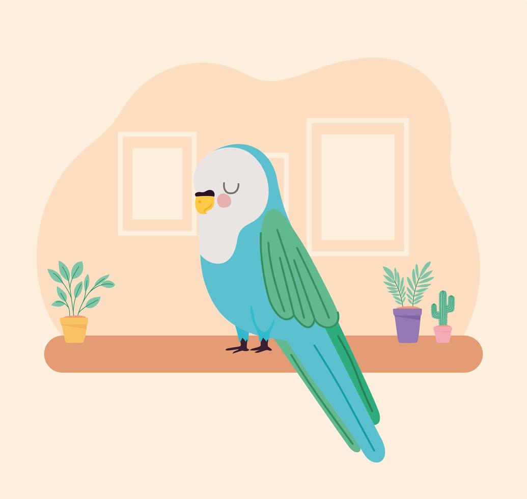 pretty parakeet representation vector