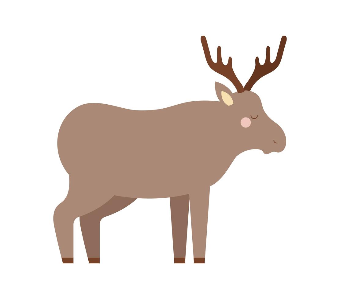 animal moose design vector