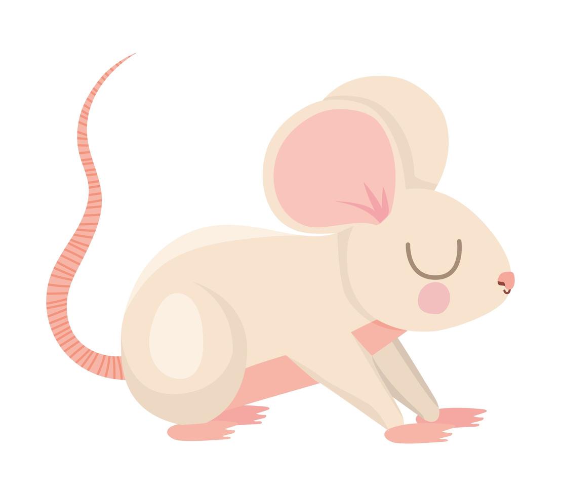 pretty mouse design vector
