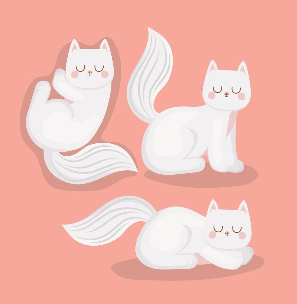 tres lindos gatitos vector