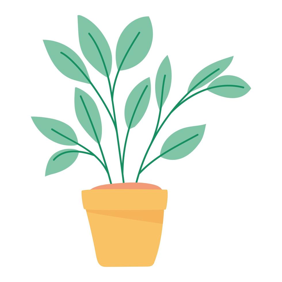 plant in yellow pot vector