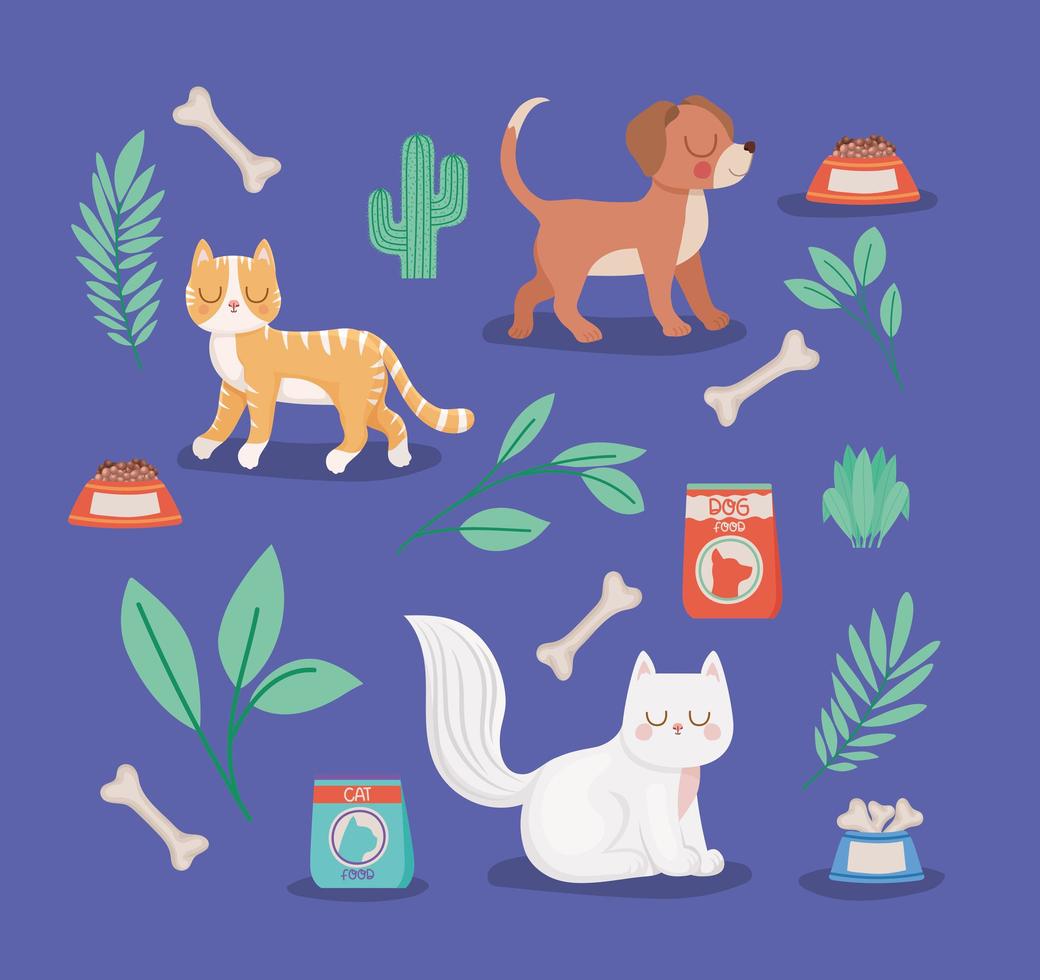 pets and pets items vector