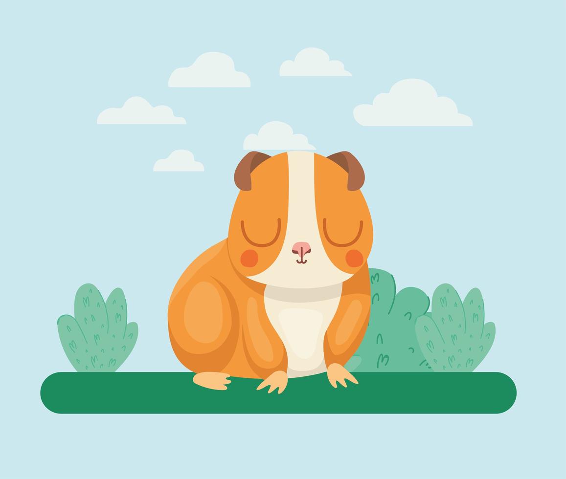 pretty hamster illustration vector