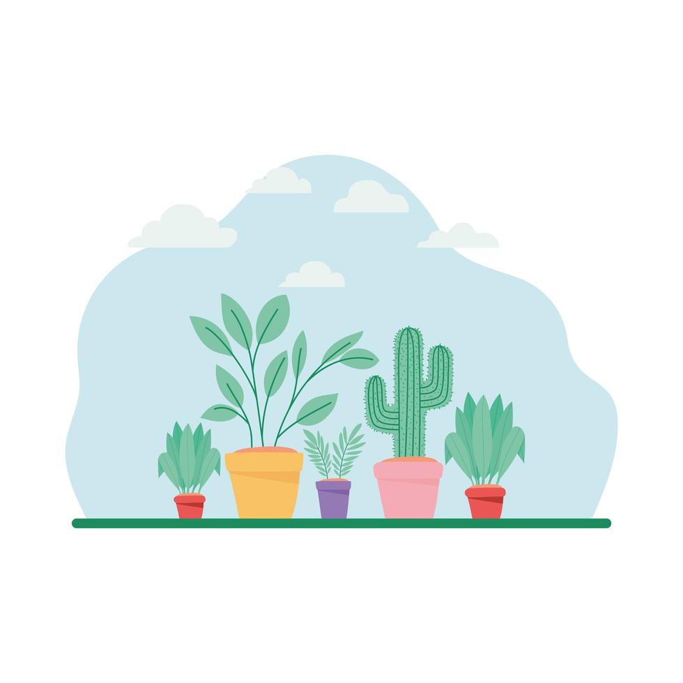 plants on pots vector