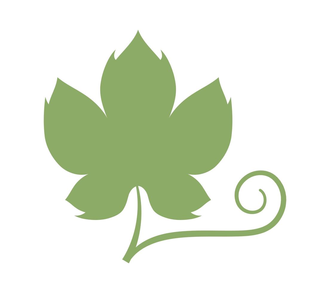 green grape leaves vector
