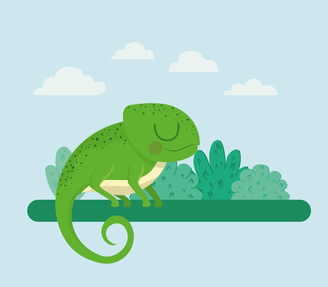 bonita ilustración de iguana vector