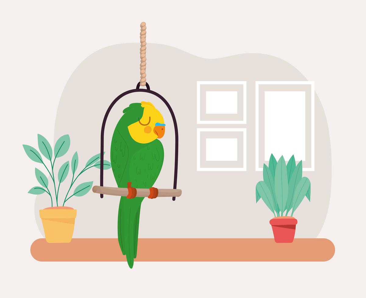 parrot in a swing vector