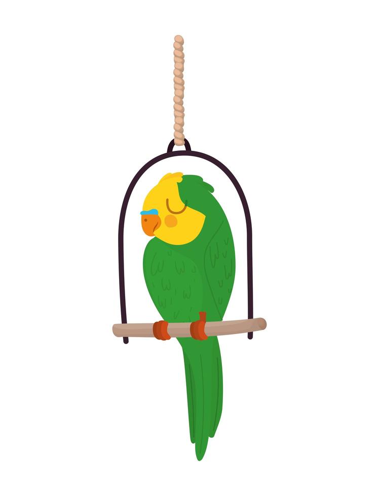 parrot over swing vector